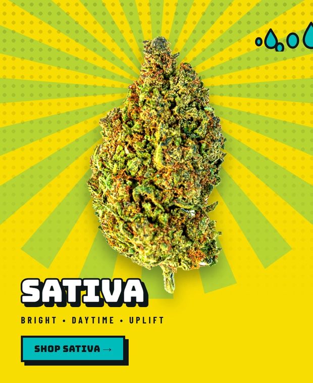 Shop Sativa