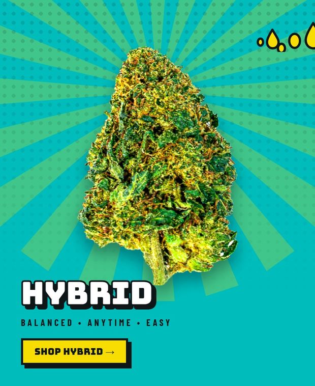 Shop Hybrid