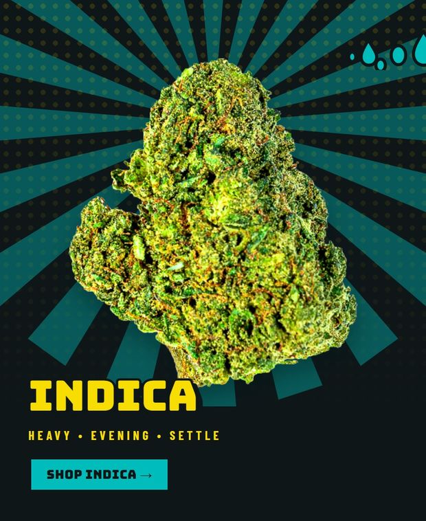 Shop Indica